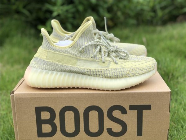 2019 Adidas Yeezy Boost 350 V2 "Antlia" (AYZN004)