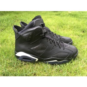 Air Jordan 6 Retro "Black Cat" 384664-020 (AJ-0289)