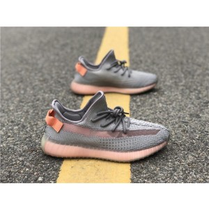 2019 Adidas Yeezy Boost 350 V2 "True Form" (AYZ0088)